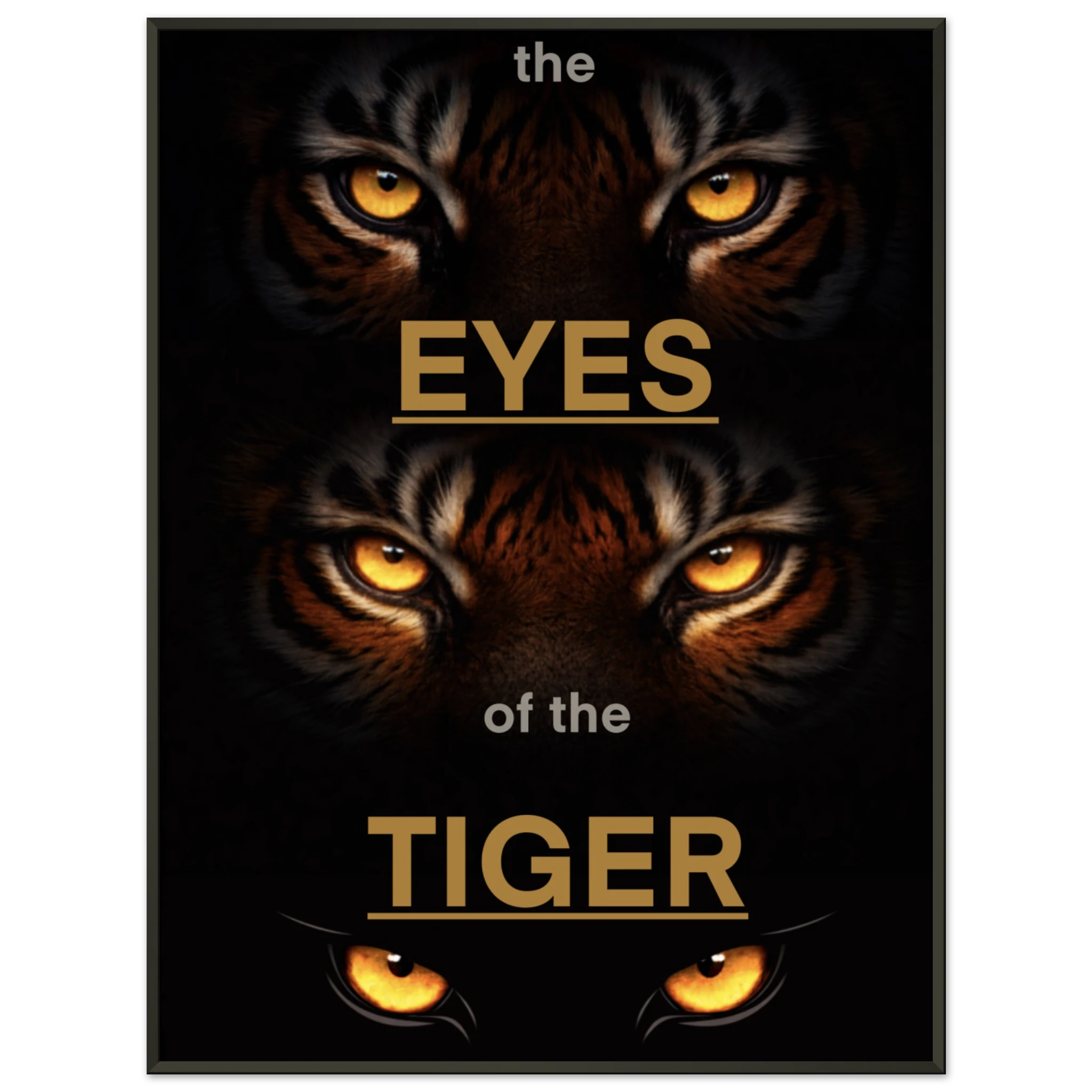 1f5631a6-72b8-4a18-a944-c91b79bb8c8d