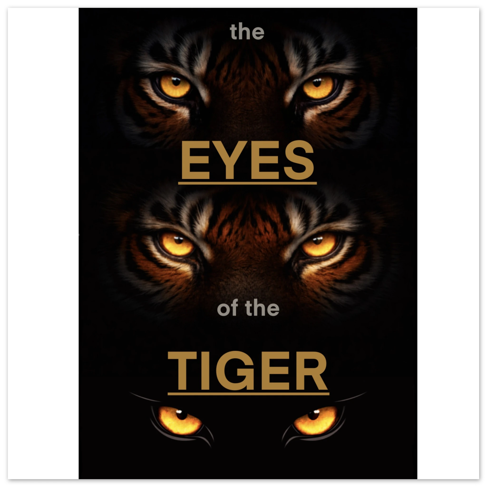 5dc82563-0e09-46f3-b19e-97121e3302c9