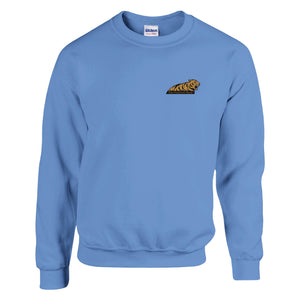 Carolina Blue