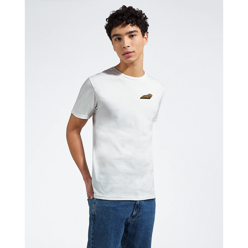 db7a7827-03cb-4daa-bcf6-52bf8e7c583a