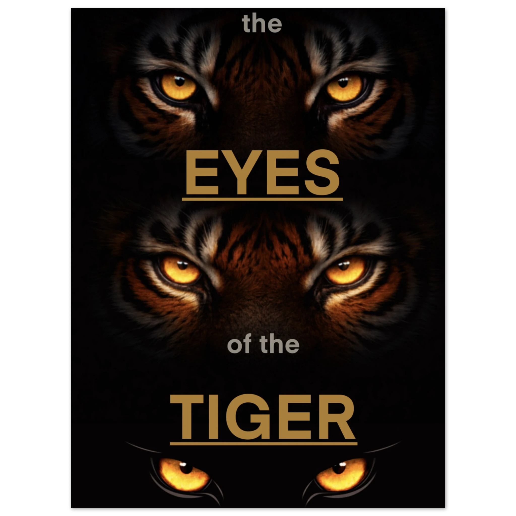 ead365c9-175c-43e8-b347-ee735c0a5cab